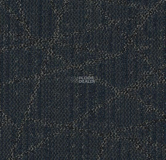 Tessera Nexus 3505 Refresh фото 1 | FLOORDEALER